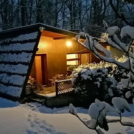 Vila Chalpa Na Skarpie Meszna Exteriér fotografie