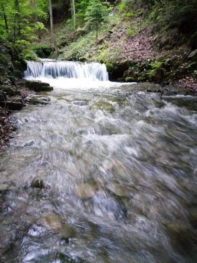 Vila Chalpa Na Skarpie Meszna Exteriér fotografie
