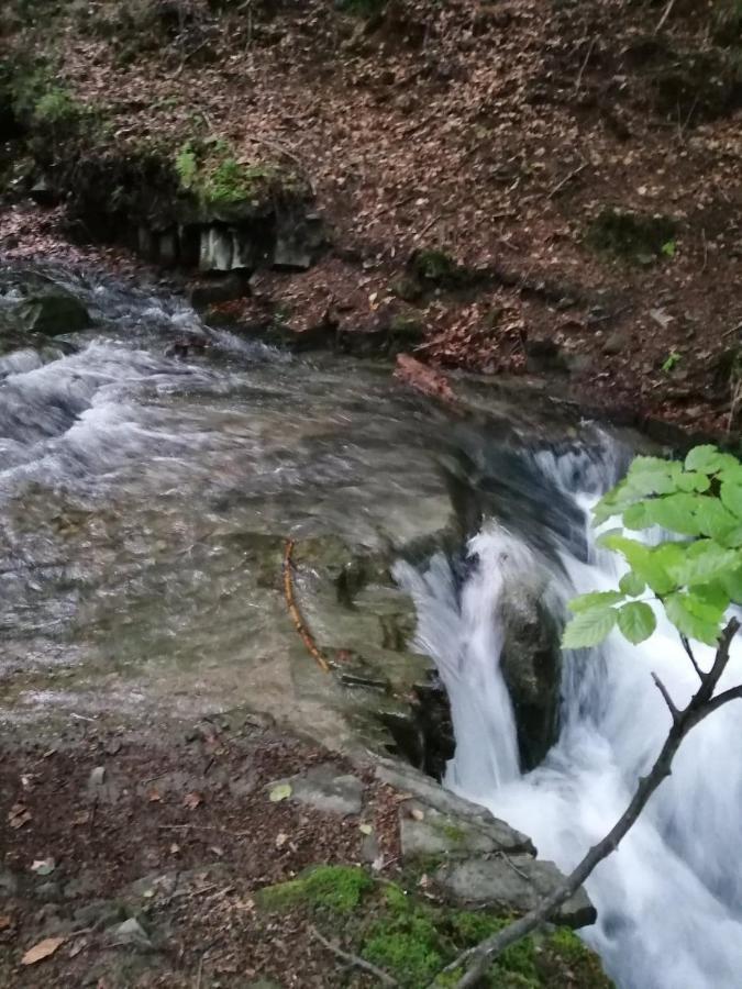 Vila Chalpa Na Skarpie Meszna Exteriér fotografie