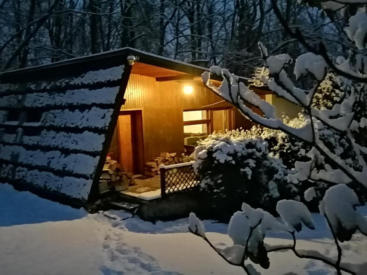 Vila Chalpa Na Skarpie Meszna Exteriér fotografie